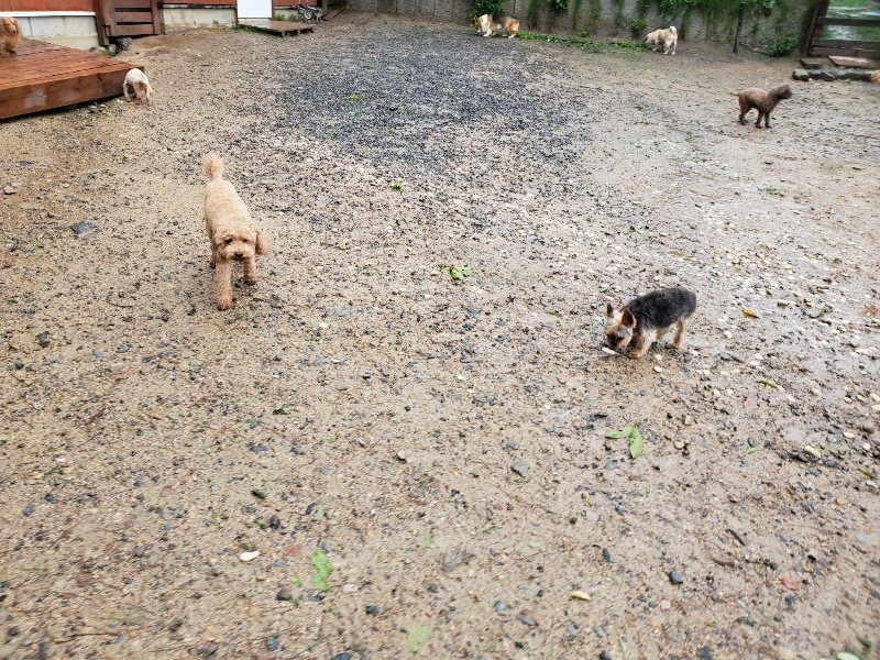 f:id:roukenhome-ann:20191013180604j:plain