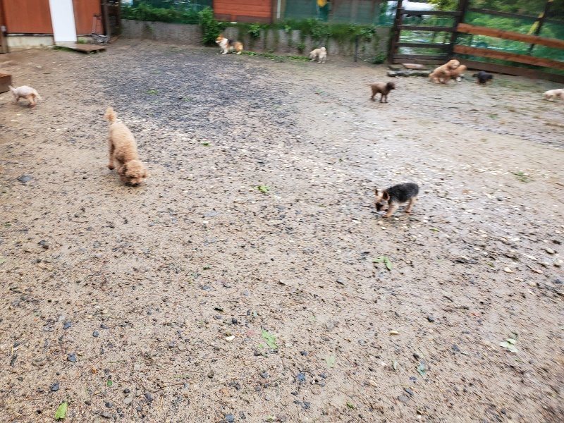 f:id:roukenhome-ann:20191013180611j:plain