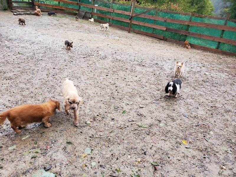 f:id:roukenhome-ann:20191013180639j:plain