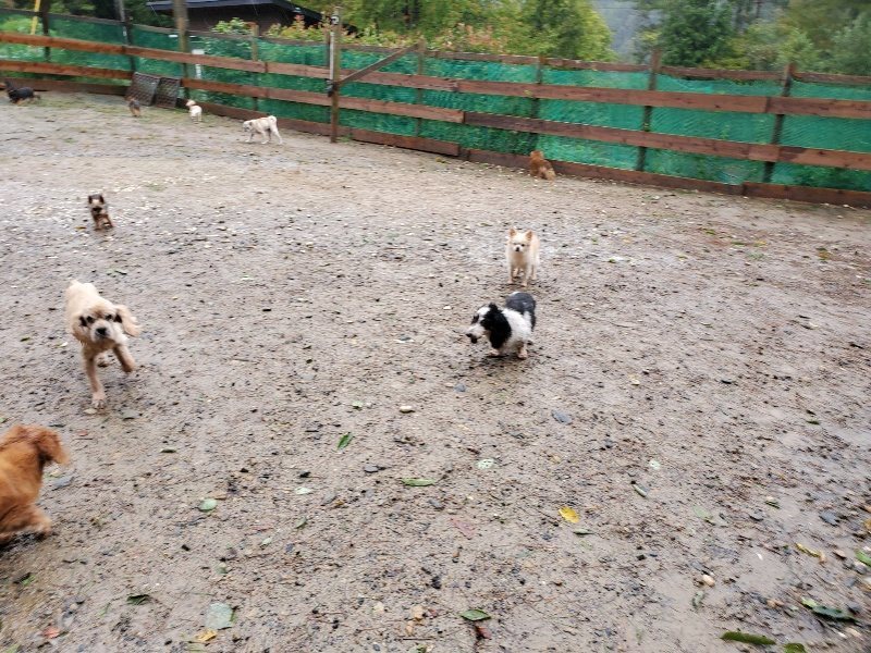 f:id:roukenhome-ann:20191013180649j:plain