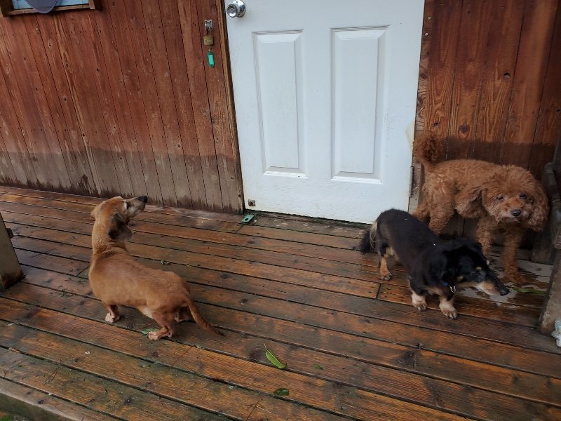 f:id:roukenhome-ann:20191013180703j:plain