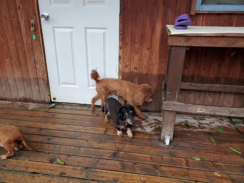 f:id:roukenhome-ann:20191013180718j:plain
