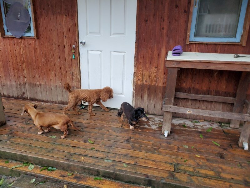 f:id:roukenhome-ann:20191013180726j:plain