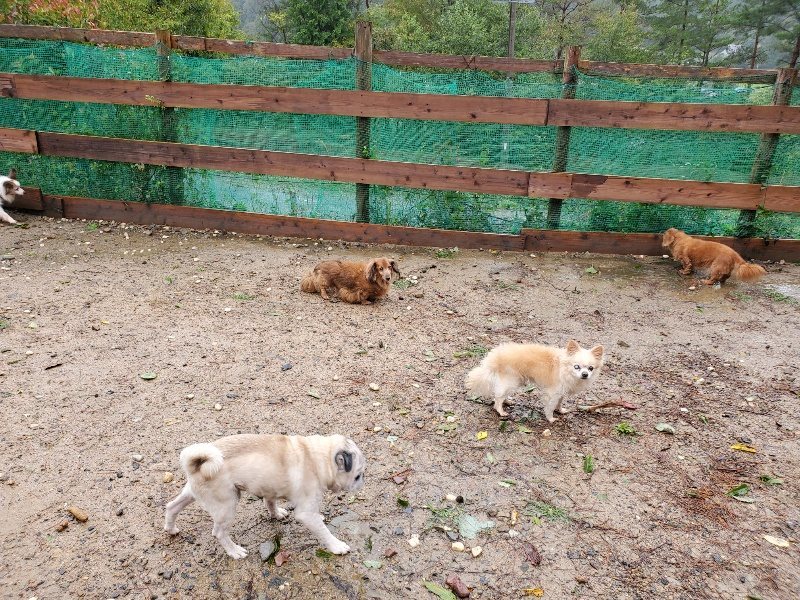 f:id:roukenhome-ann:20191013181119j:plain