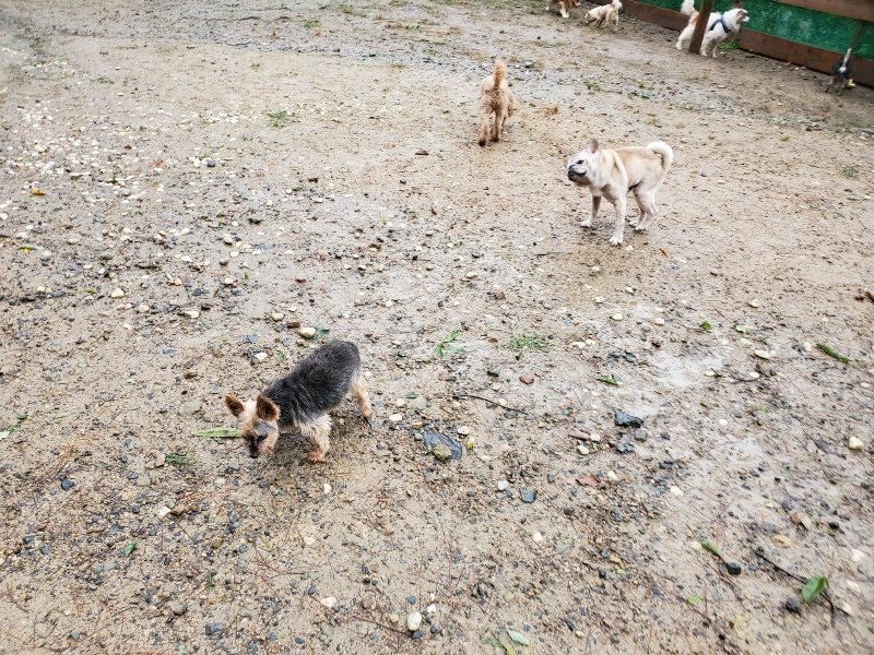 f:id:roukenhome-ann:20191013181149j:plain