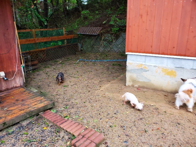 f:id:roukenhome-ann:20191013181156j:plain