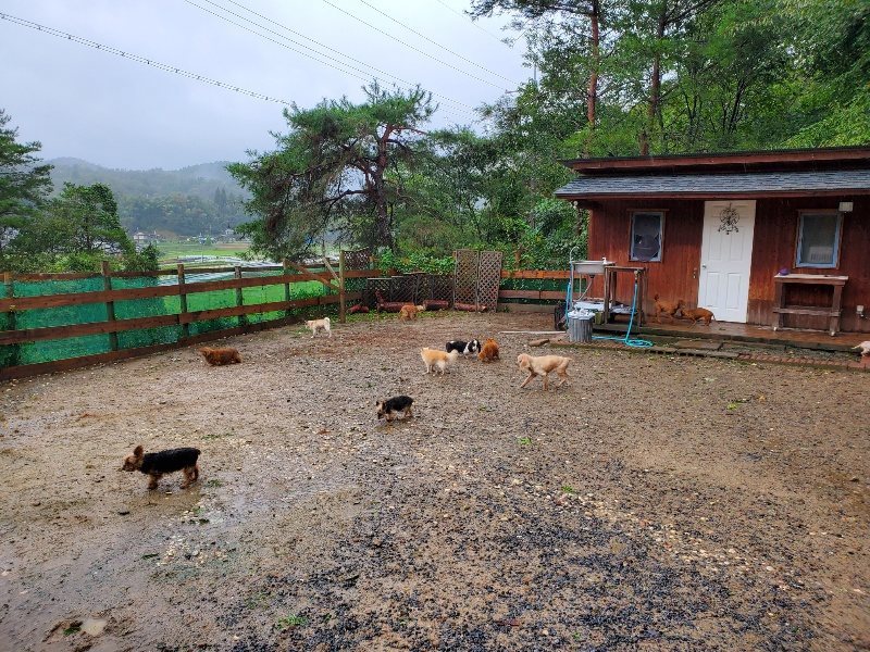 f:id:roukenhome-ann:20191013181312j:plain