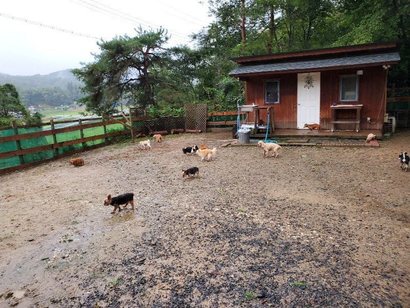 f:id:roukenhome-ann:20191013181320j:plain
