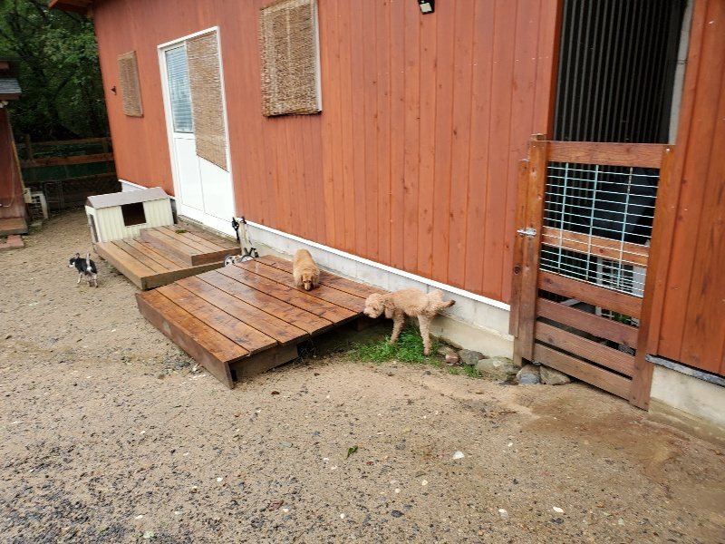 f:id:roukenhome-ann:20191013181338j:plain