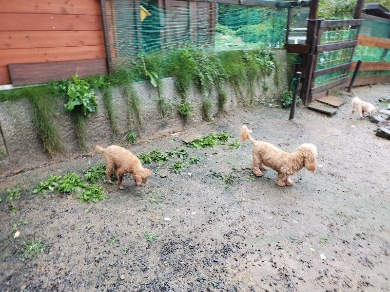 f:id:roukenhome-ann:20191013181356j:plain