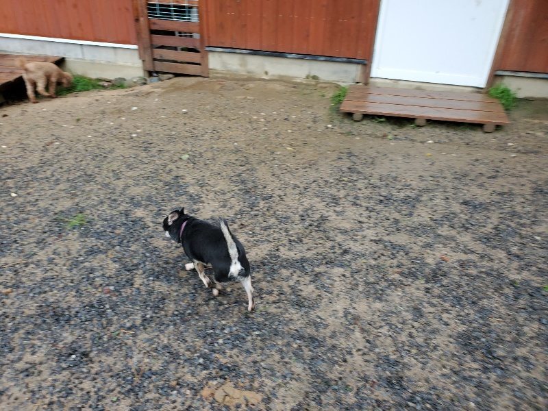 f:id:roukenhome-ann:20191013181417j:plain