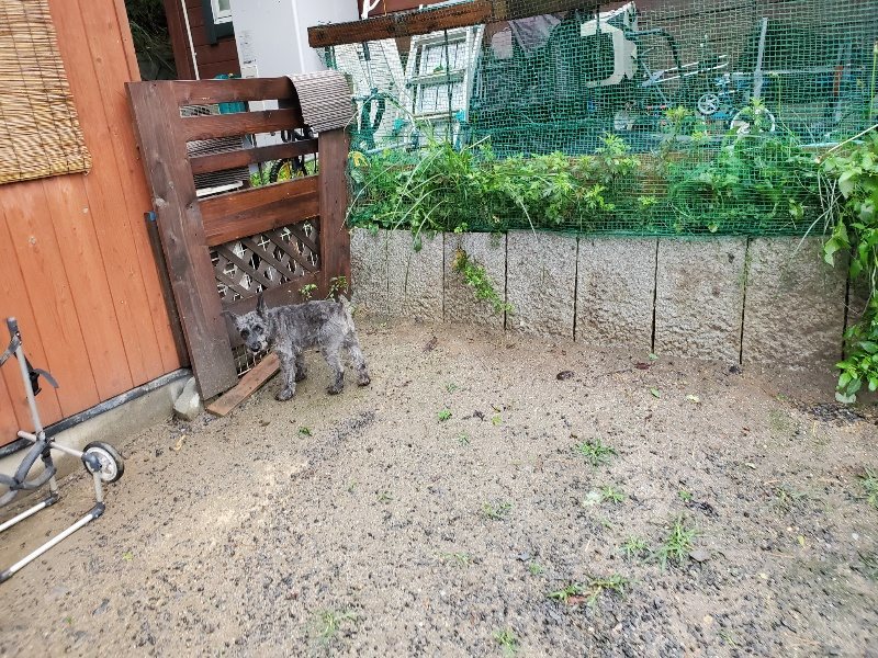 f:id:roukenhome-ann:20191013181433j:plain