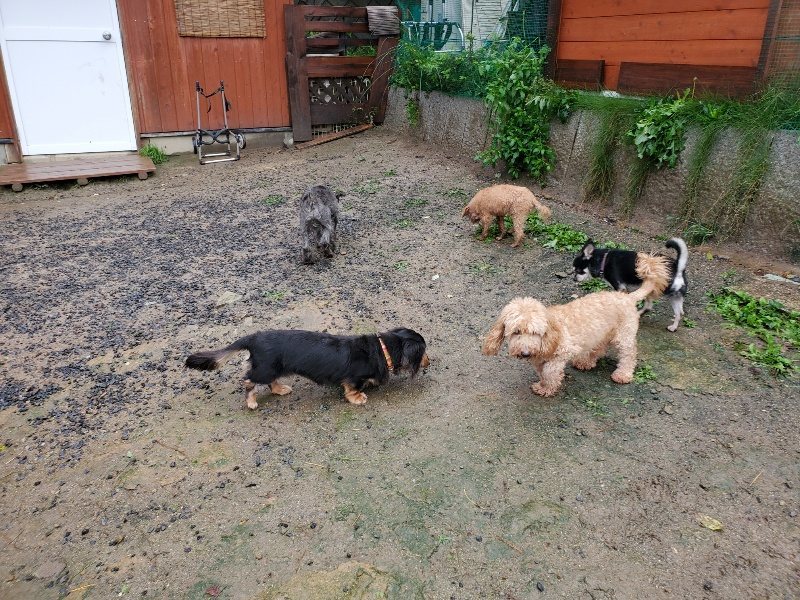f:id:roukenhome-ann:20191013181519j:plain