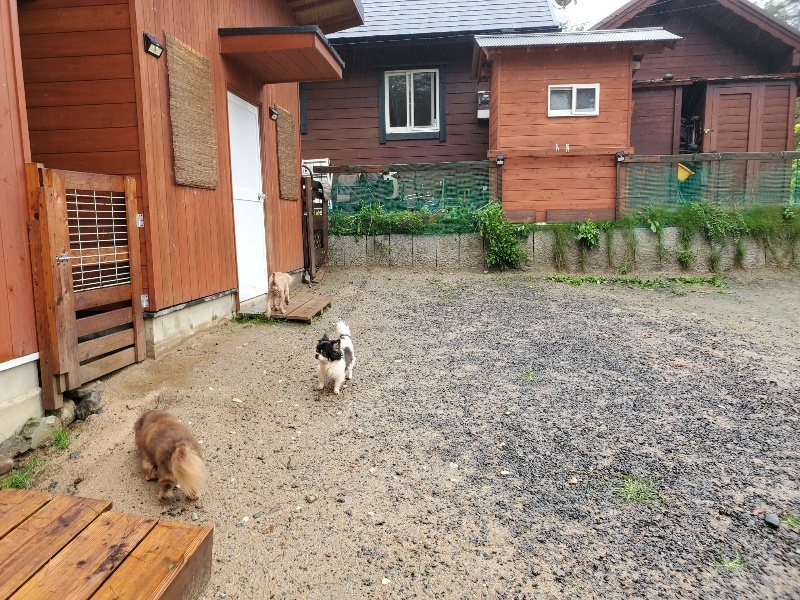 f:id:roukenhome-ann:20191013183454j:plain