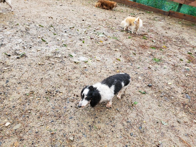 f:id:roukenhome-ann:20191013183558j:plain