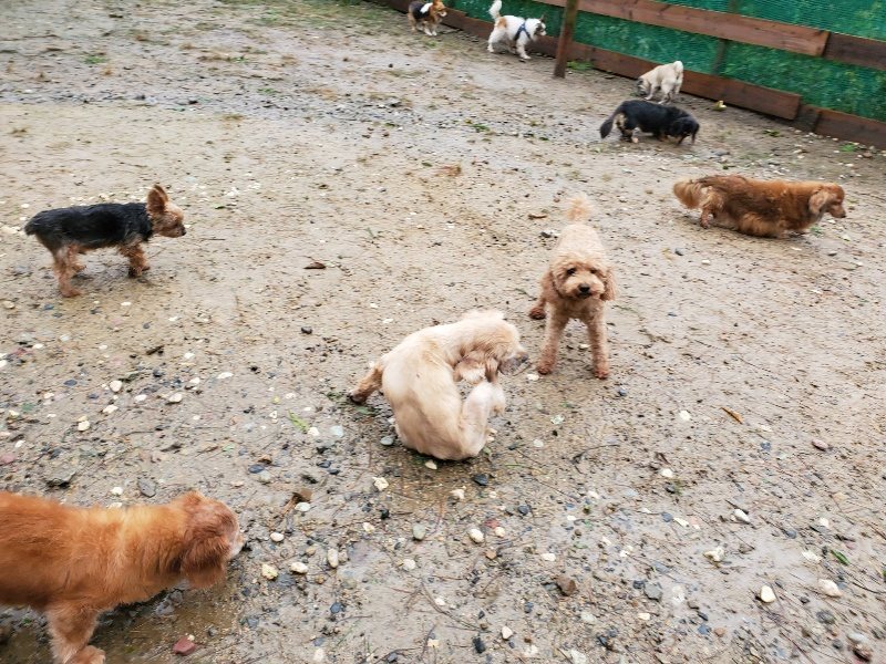 f:id:roukenhome-ann:20191013183722j:plain