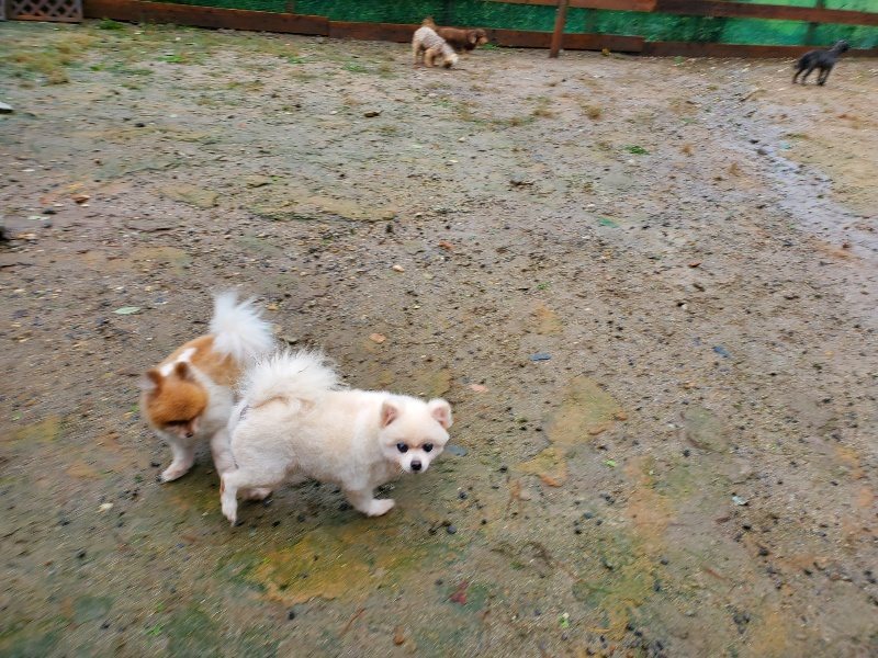 f:id:roukenhome-ann:20191013183917j:plain