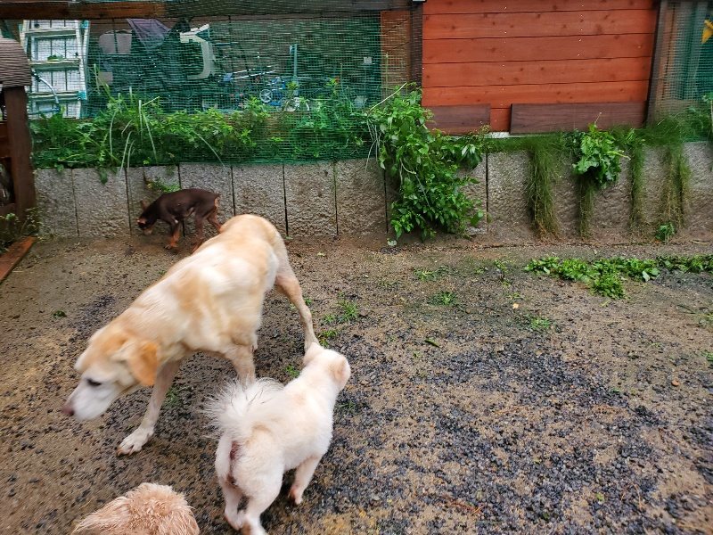 f:id:roukenhome-ann:20191013183933j:plain