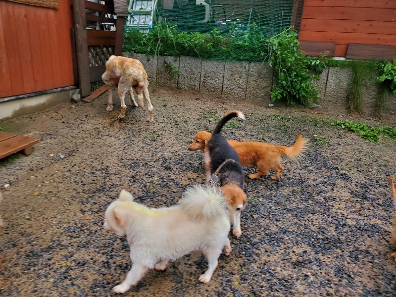 f:id:roukenhome-ann:20191013183940j:plain