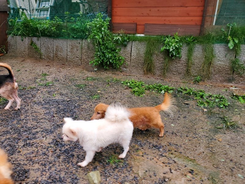 f:id:roukenhome-ann:20191013184003j:plain