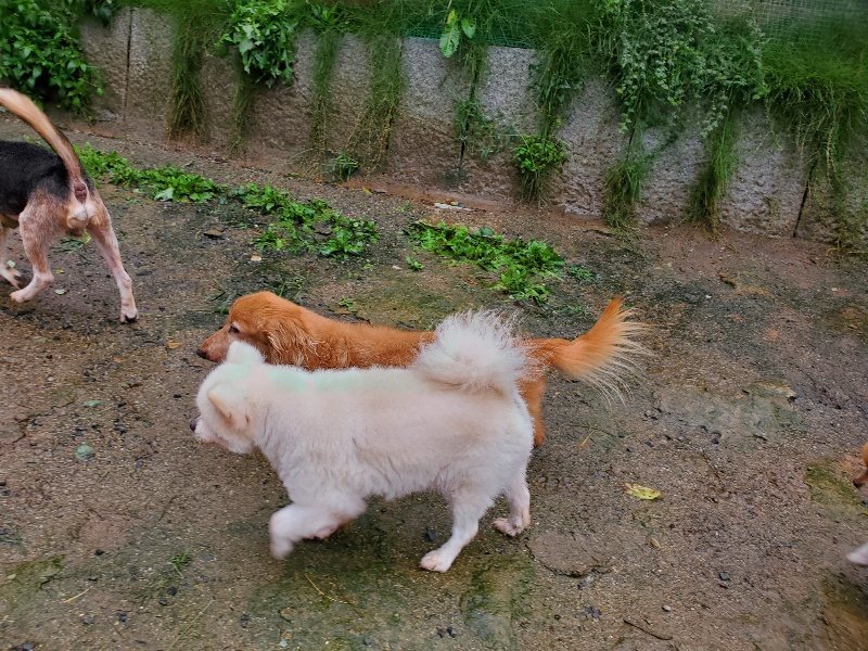 f:id:roukenhome-ann:20191013184011j:plain