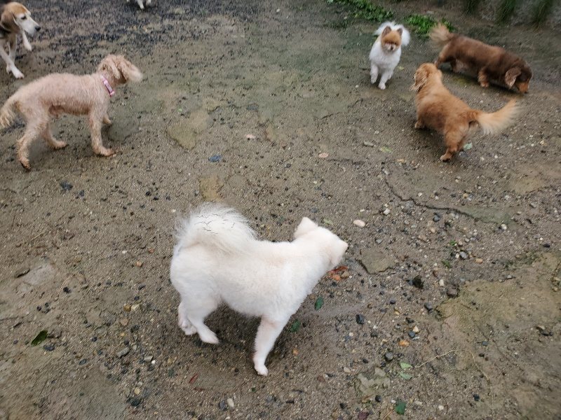 f:id:roukenhome-ann:20191013184018j:plain