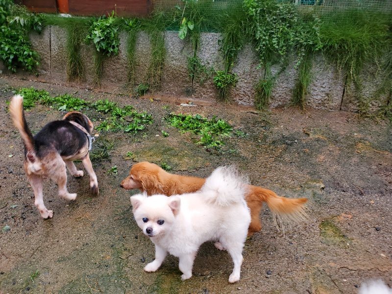 f:id:roukenhome-ann:20191013184026j:plain