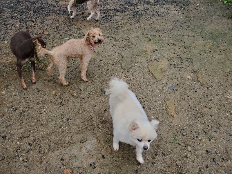 f:id:roukenhome-ann:20191013184035j:plain