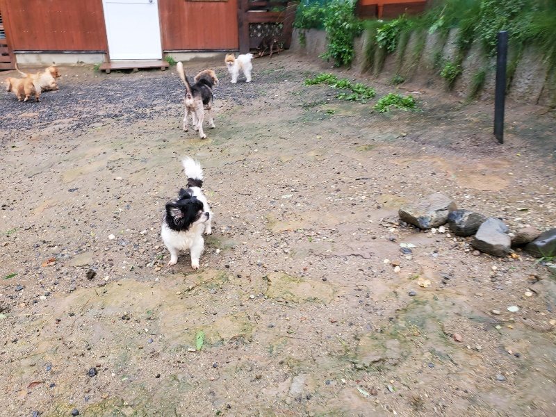 f:id:roukenhome-ann:20191013184904j:plain