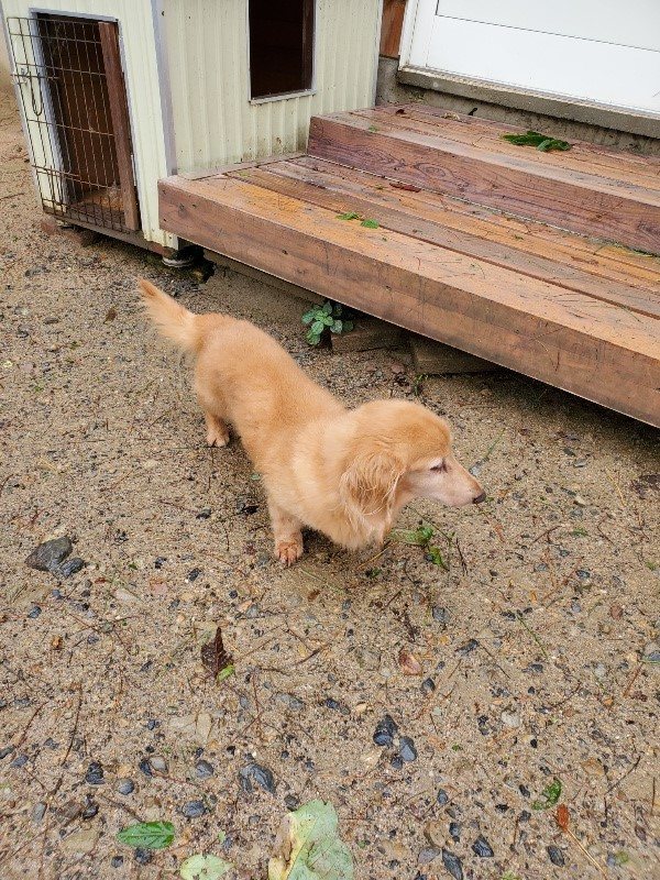 f:id:roukenhome-ann:20191013184931j:plain