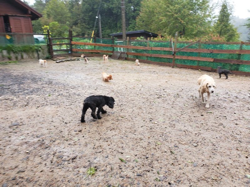f:id:roukenhome-ann:20191013185002j:plain