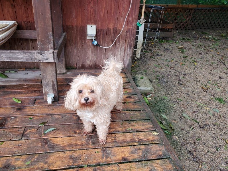 f:id:roukenhome-ann:20191013185045j:plain