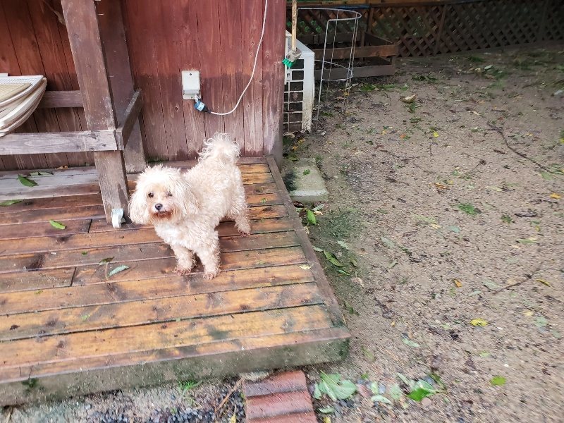 f:id:roukenhome-ann:20191013185102j:plain