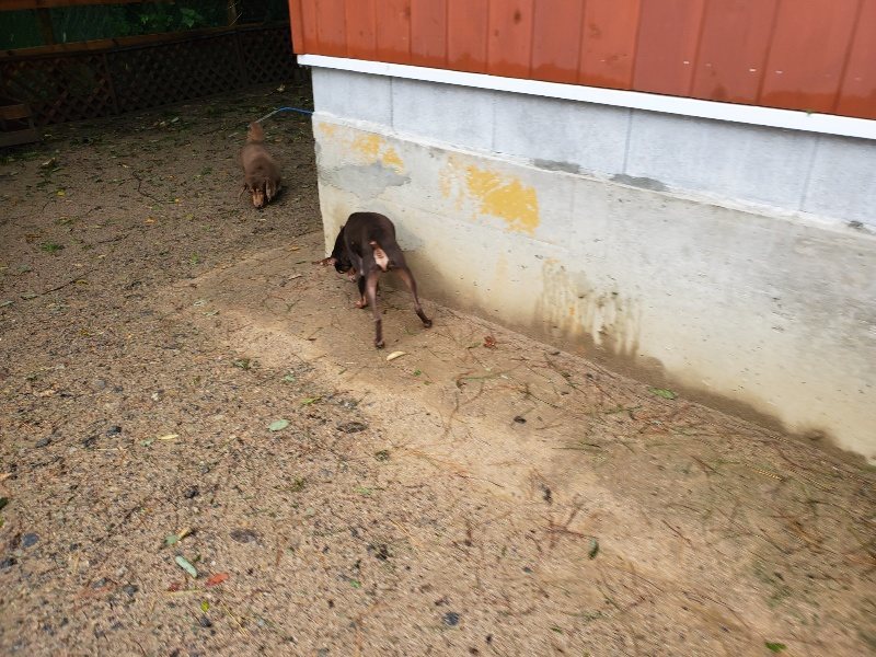 f:id:roukenhome-ann:20191013185106j:plain
