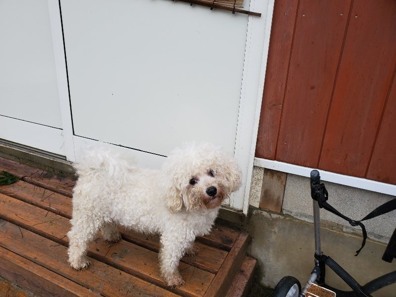 f:id:roukenhome-ann:20191013185122j:plain