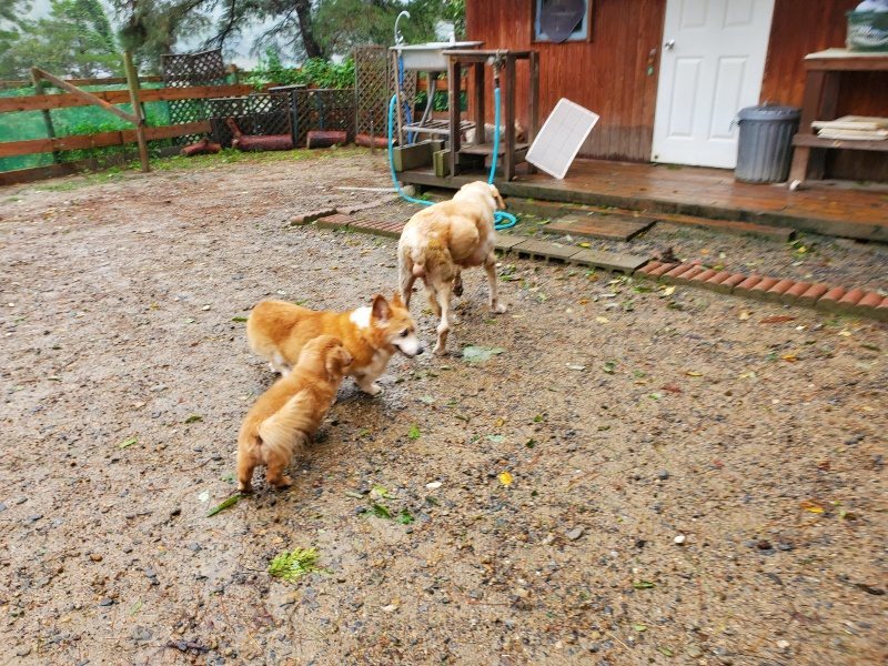 f:id:roukenhome-ann:20191013185136j:plain