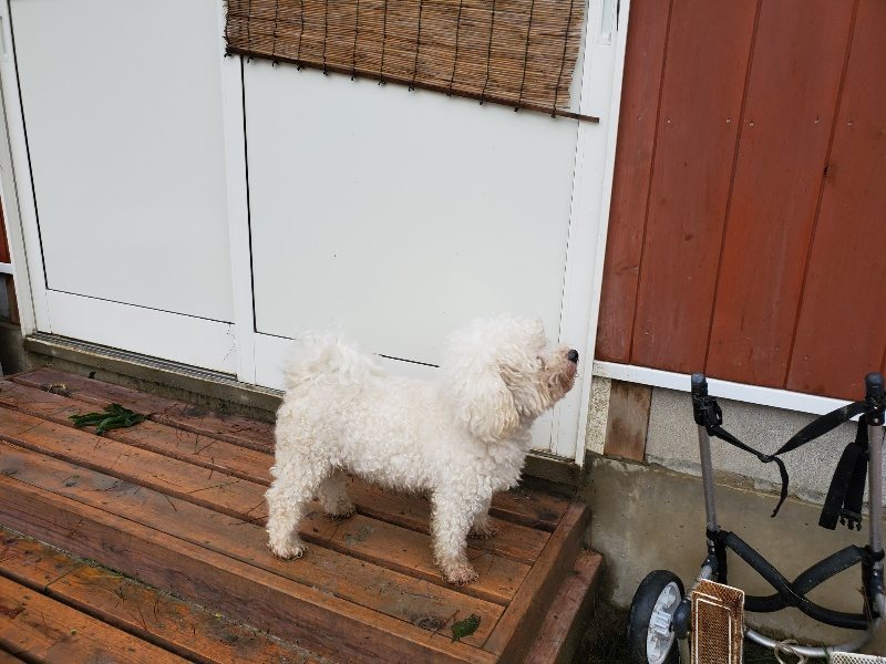 f:id:roukenhome-ann:20191013185145j:plain