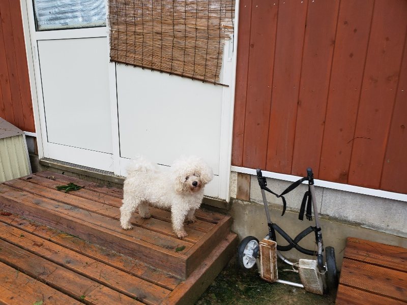 f:id:roukenhome-ann:20191013185152j:plain
