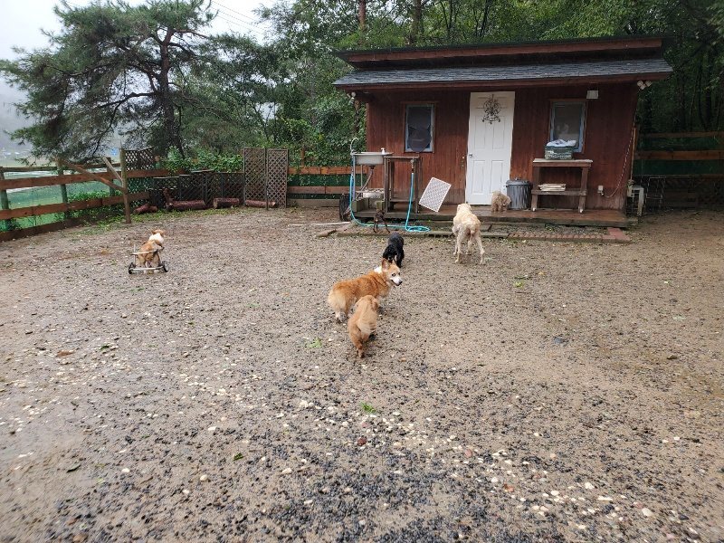 f:id:roukenhome-ann:20191013185215j:plain