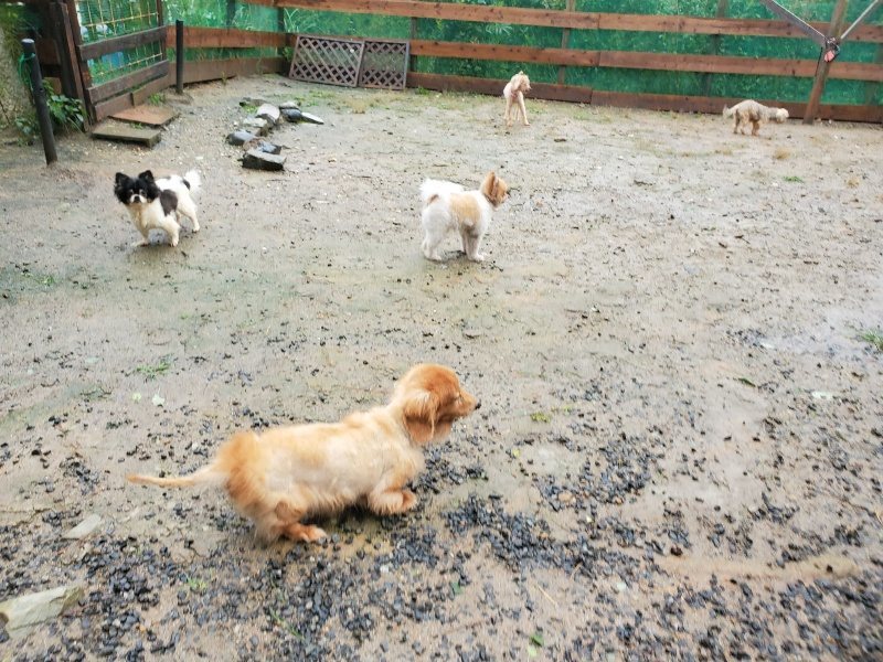 f:id:roukenhome-ann:20191013185220j:plain