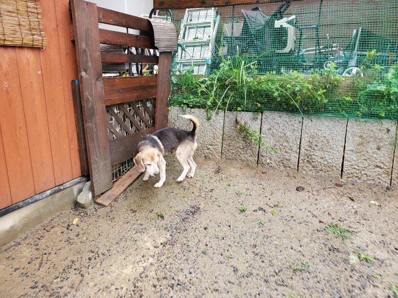 f:id:roukenhome-ann:20191013185252j:plain