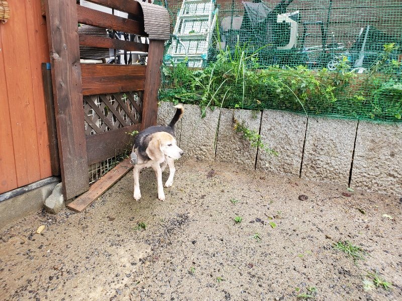 f:id:roukenhome-ann:20191013185303j:plain