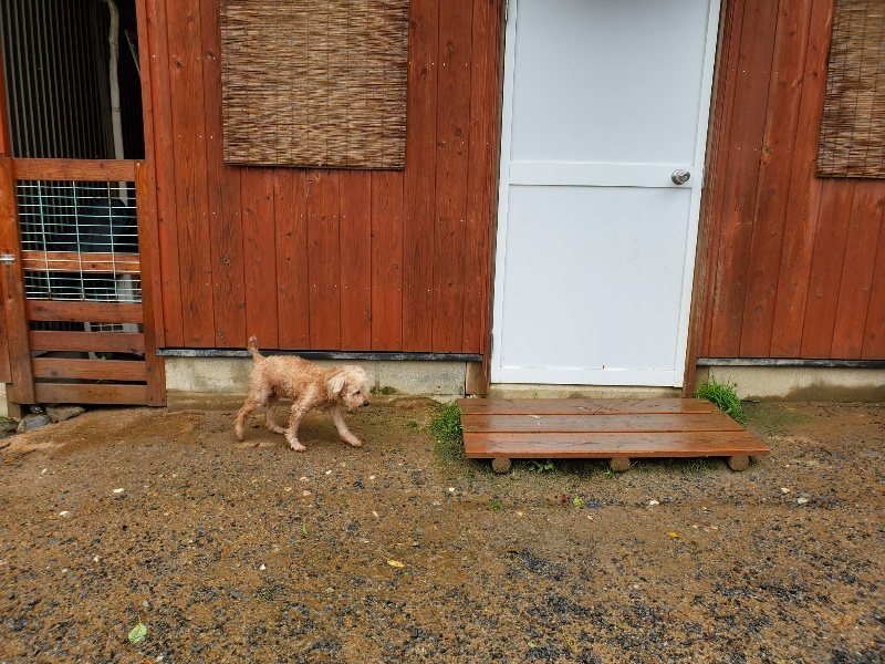 f:id:roukenhome-ann:20191013185317j:plain
