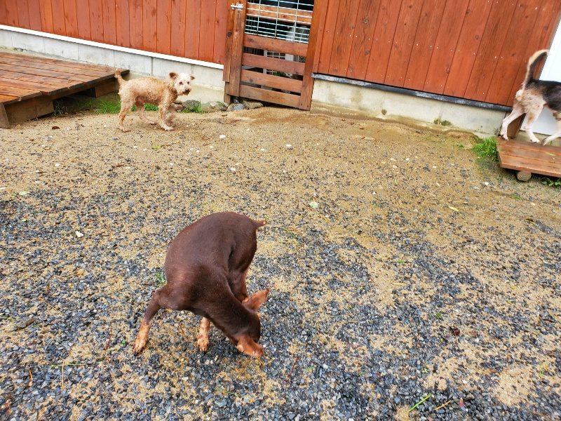 f:id:roukenhome-ann:20191013185348j:plain