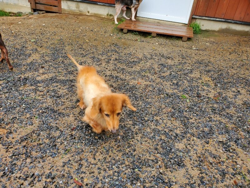 f:id:roukenhome-ann:20191013185407j:plain