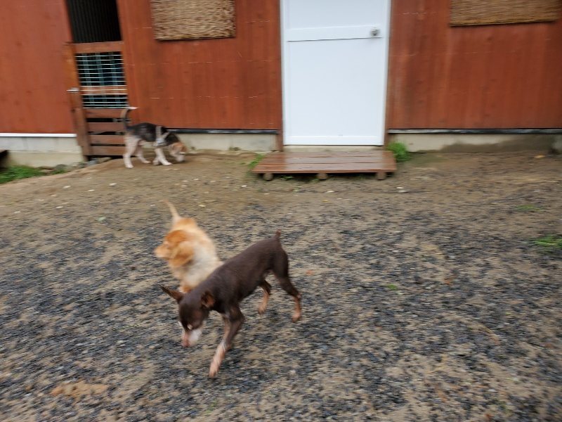 f:id:roukenhome-ann:20191013185417j:plain