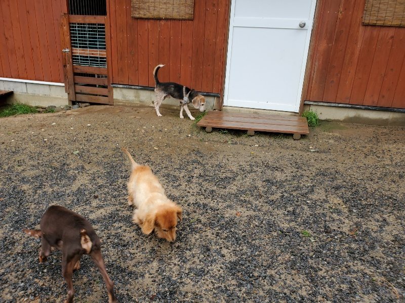 f:id:roukenhome-ann:20191013185424j:plain
