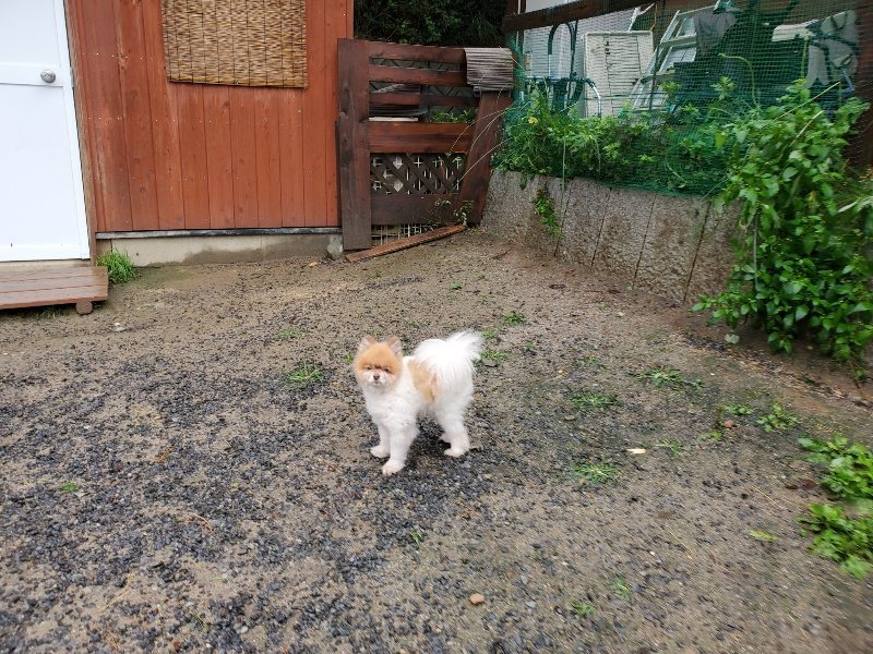 f:id:roukenhome-ann:20191013185429j:plain