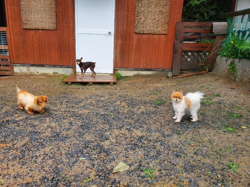 f:id:roukenhome-ann:20191013185436j:plain