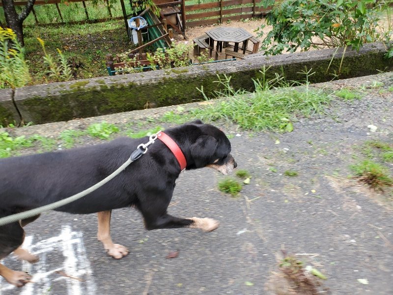 f:id:roukenhome-ann:20191013185539j:plain